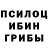 ГЕРОИН хмурый Den Primiymenko