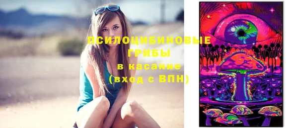 a pvp Слюдянка