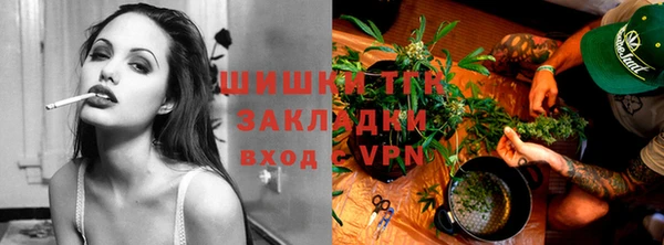 таблы Снежногорск