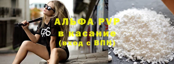гашик Таштагол
