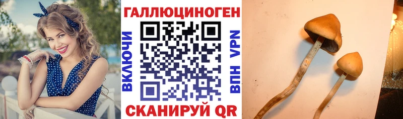 наркошоп  Фролово  Псилоцибиновые грибы Cubensis 