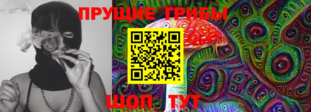 Галлюциногенные грибы GOLDEN TEACHER  где купить   Фролово  Галлюциногенные грибы GOLDEN TEACHER  Вход с VPN 